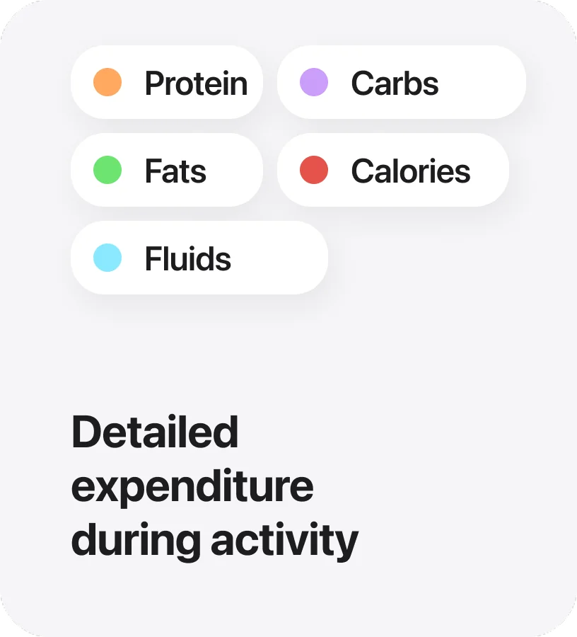 Detailed expenditure during activity